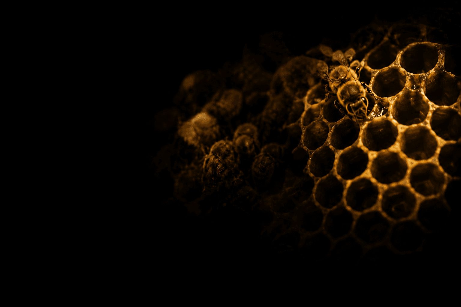 beehive