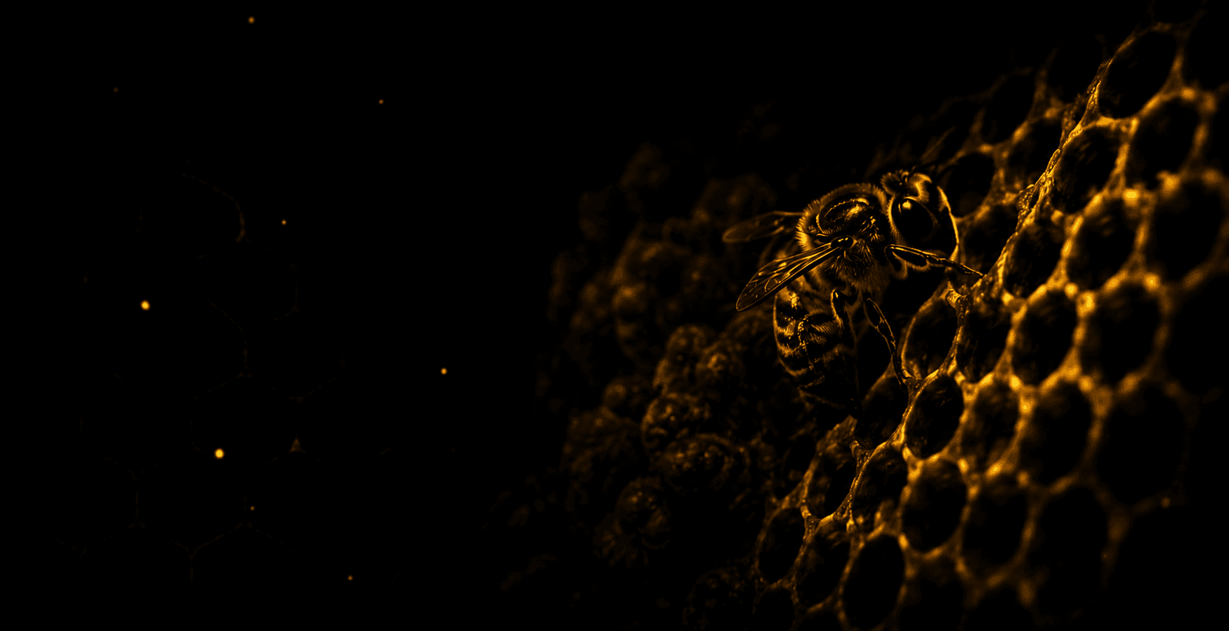 beehive image